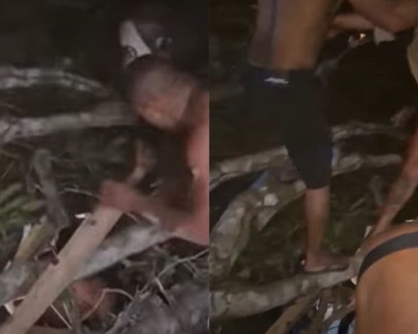 VÍDEO: Árvore cai sobre &#8220;Bar das Primas&#8221; durante temporal no Amazonas