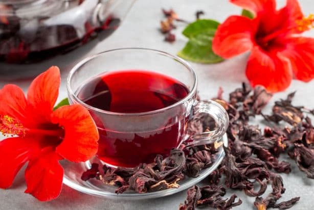 Conheça os benefícios do chá de hibisco para a saúde