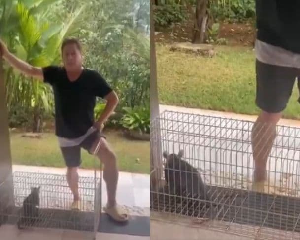 Leonardo &#8220;oferece&#8221; gambá como se fosse um cachorro e diverte seguidores