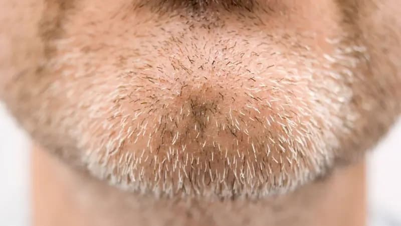 Mistérios do corpo humano que a evolução não consegue explicar