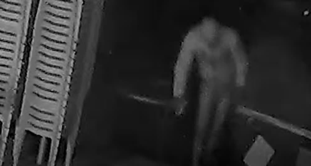 VÍDEO: Ladrão usando calcinha é filmado furtando bebidas em bar, em SP