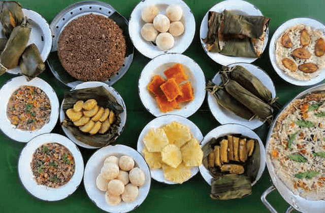 Combate à Desnutrição Infantil: Comunidades rurais, ribeirinhas e indígenas podem ser contempladas com campanha de alimentação saudável em proposta na Aleam