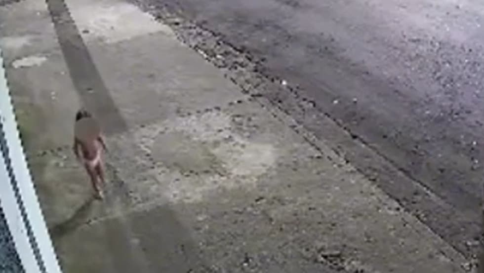 VÍDEO: Criança de 3 anos é vista andando sozinha na rua de madrugada; mãe abandonou filha para ir a baile funk